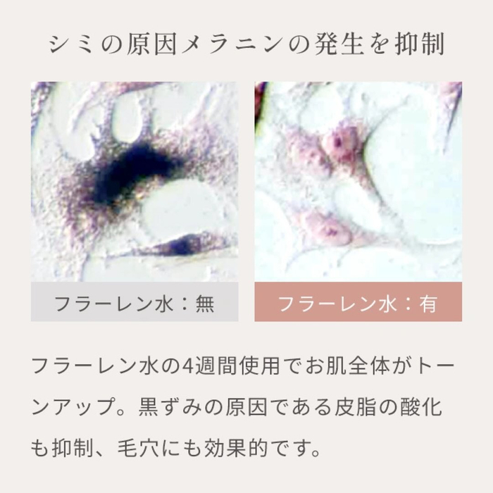画像440