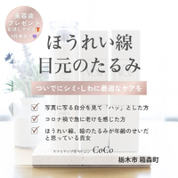 画像449