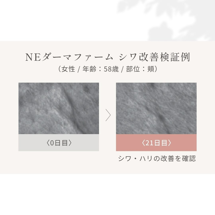 画像456