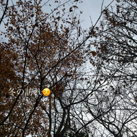 画像489