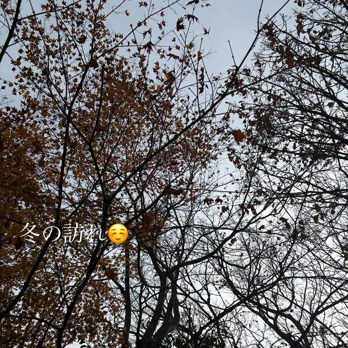 画像489
